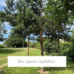 Espaces végétalisés - 3