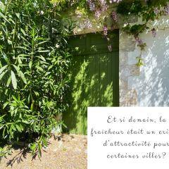 Espaces végétalisés - 7