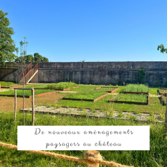 Espaces végétalisés - 5