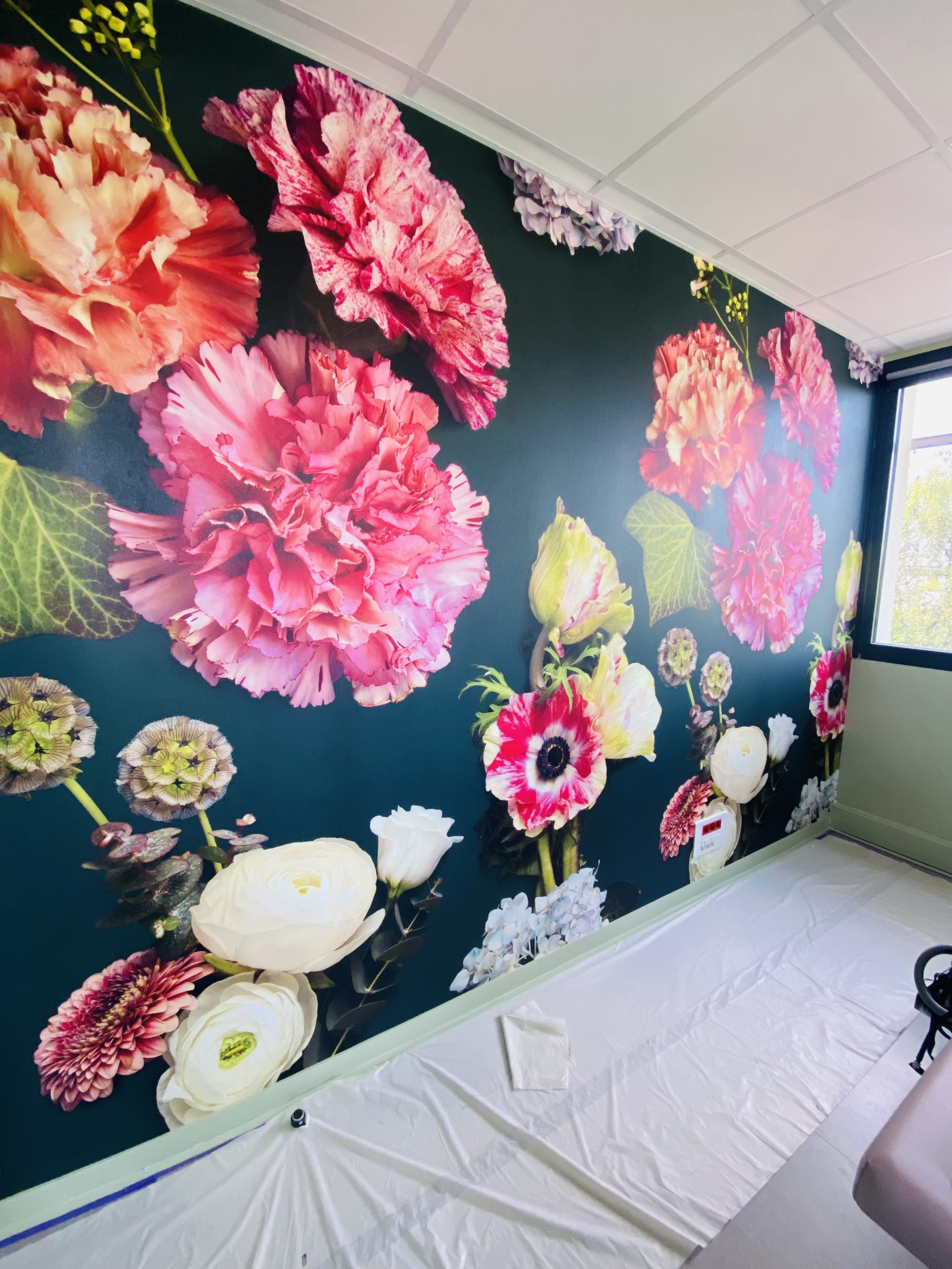 Brio Decor