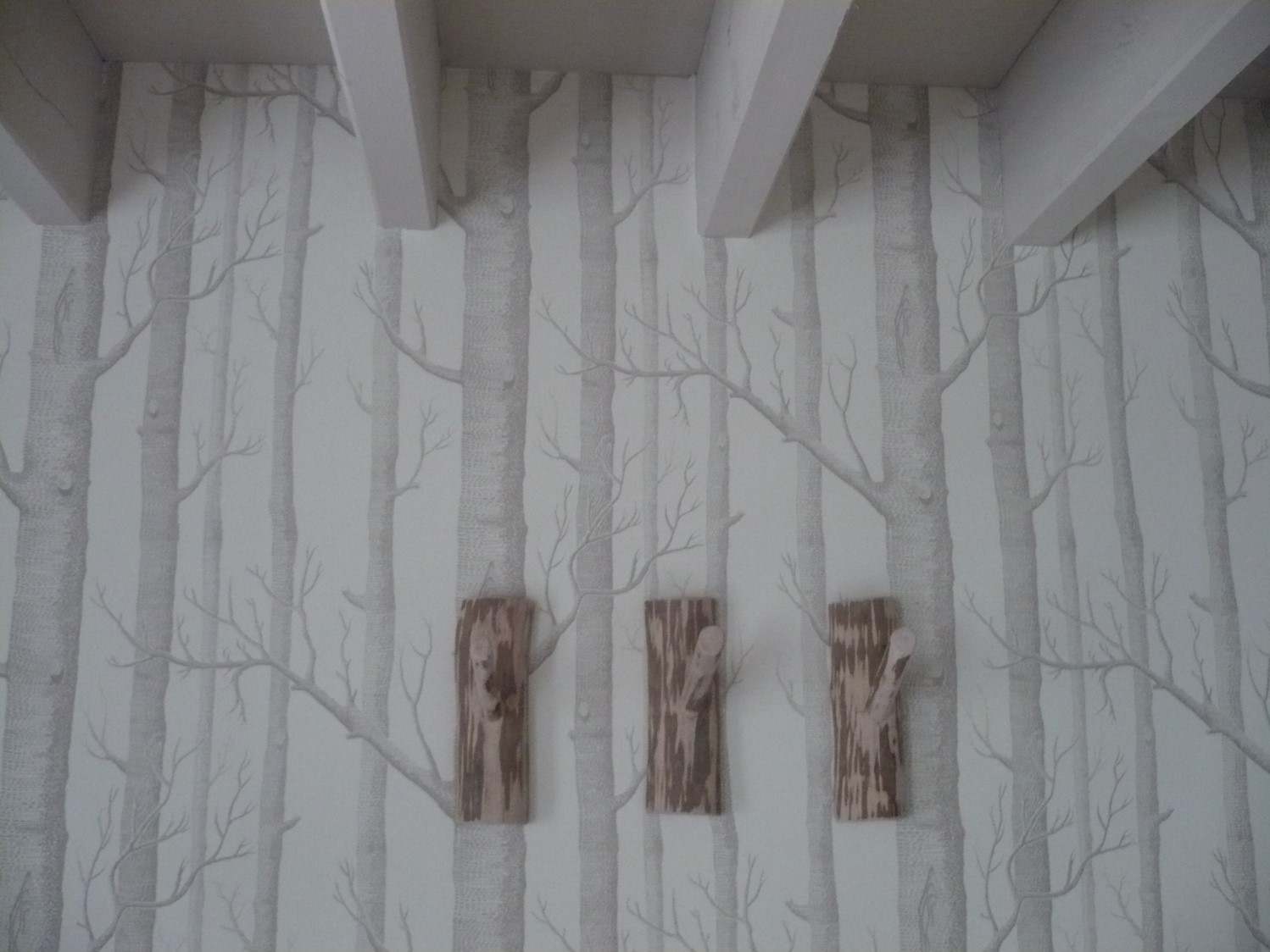 peintre-caen-116