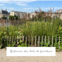 Espaces végétalisés - 4