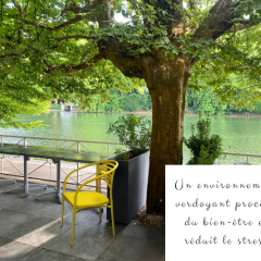 Espaces végétalisés - 6